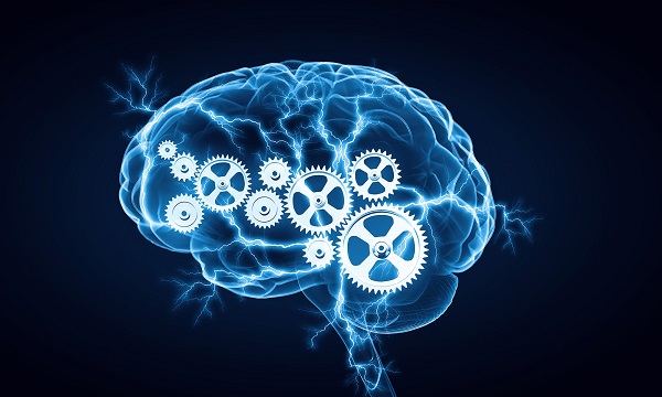 فواید 30 دقیقه ورزش برای مغز