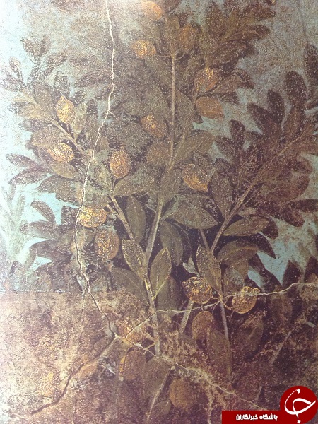 لیمو؛ میوه اشرافی رومی‌های باستان