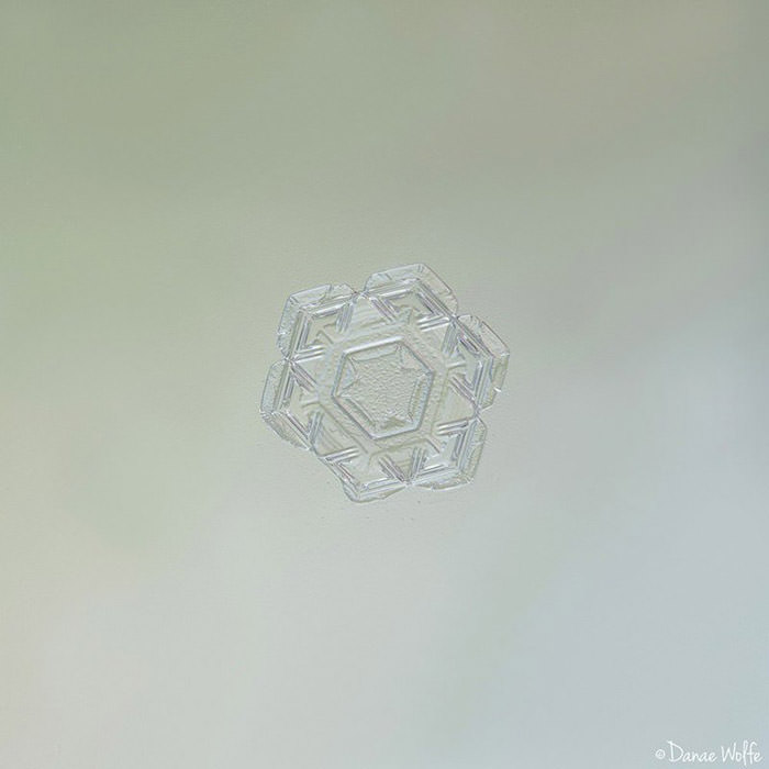 عکس ماکرو از دانه‌ی برف