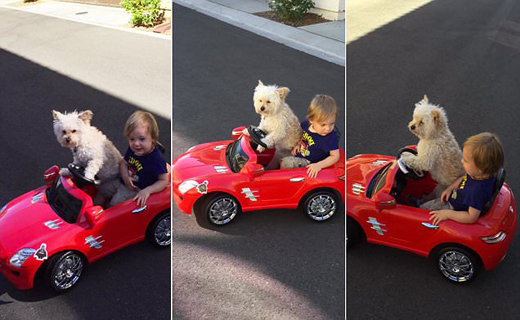 راننده شخصی پسر بچه چهار ساله+ تصاویر