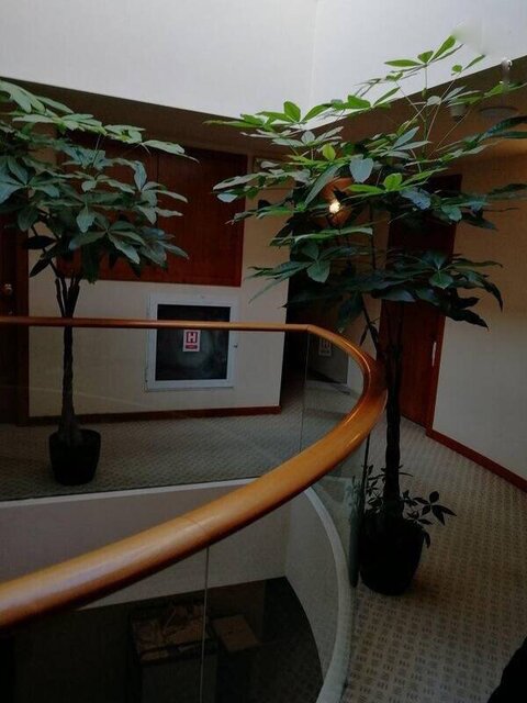 عکس های محل دقیق مرگ قاضی منصوری در هتل دوک رومانی + جزییات تازه