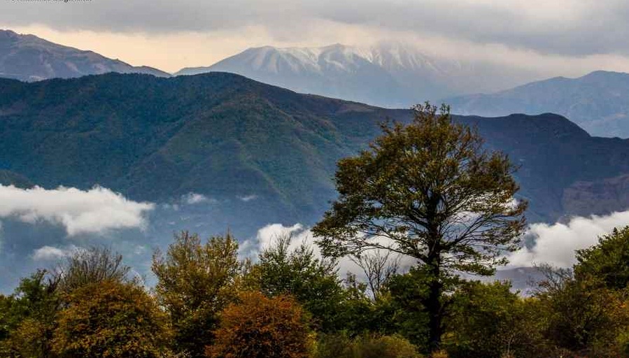 الیمستان، جنگلی رویایی در مازندران (+عکس)