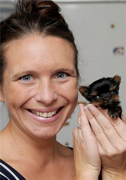 سگ 4 اینچی/تصویر