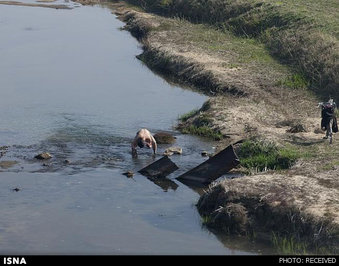مردم برای حمام کردن از آب رودخانه استفاده می‌کنند