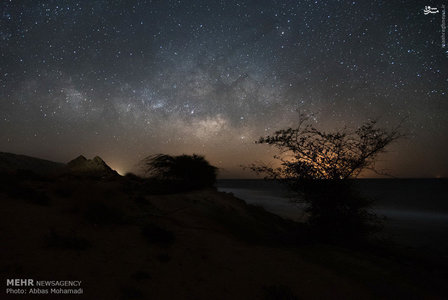 پایگاه تحلیلی خبری نامه نیوز