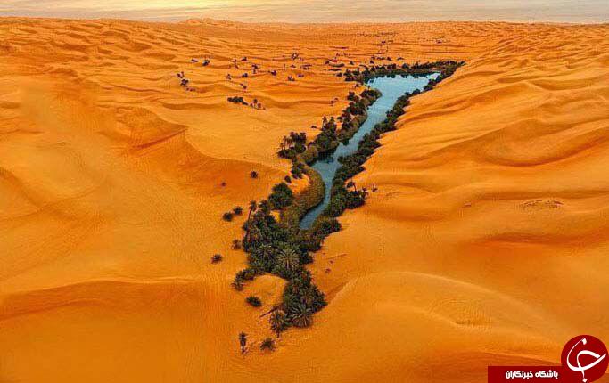 گوشه ای از بهشت در دل جهنم+عکس