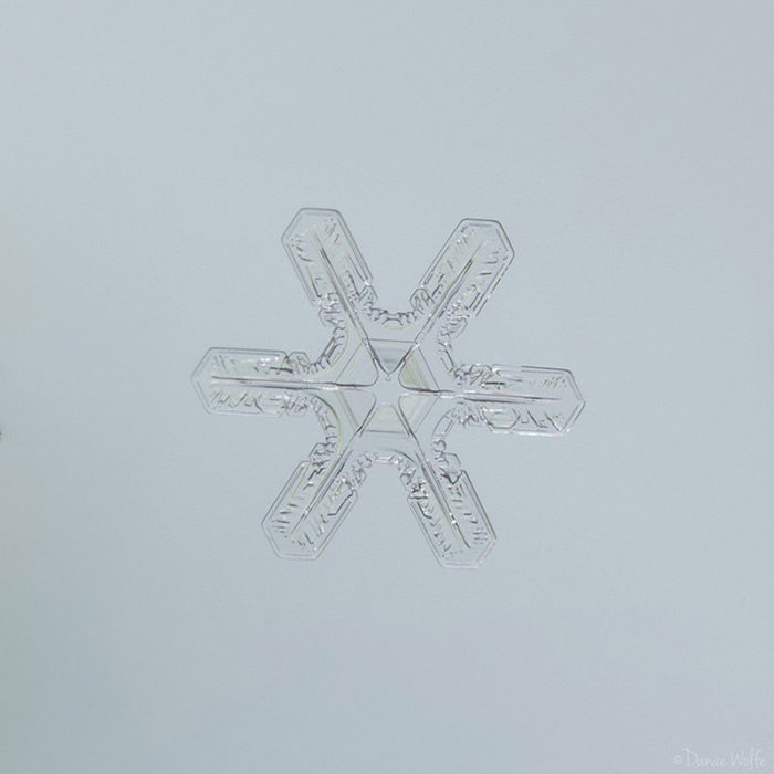 عکس ماکرو از دانه‌ی برف