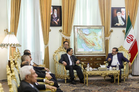 دیدار شمخانی با وزیر دفاع عراق