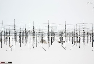  حسگرهای جوی – فیلیپوا برای این عکس هم تنها یک دقیقه وقت داشت 