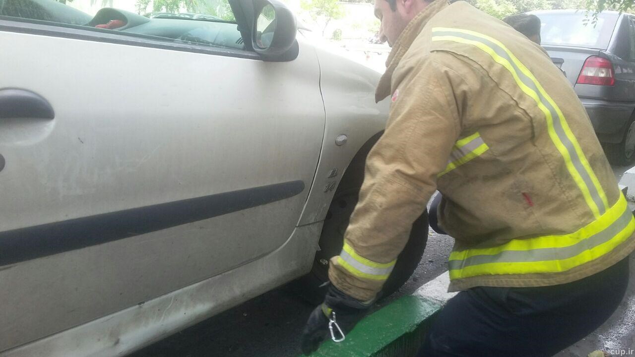 یک گربه،فدراسیون فوتبال را به هم ریخت+عکس