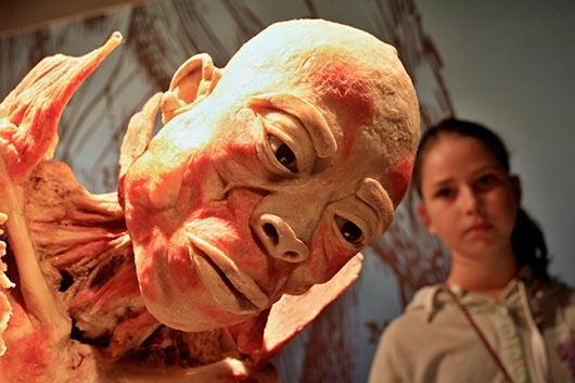 جشنواره جنازه‌های جنجالی+عکس