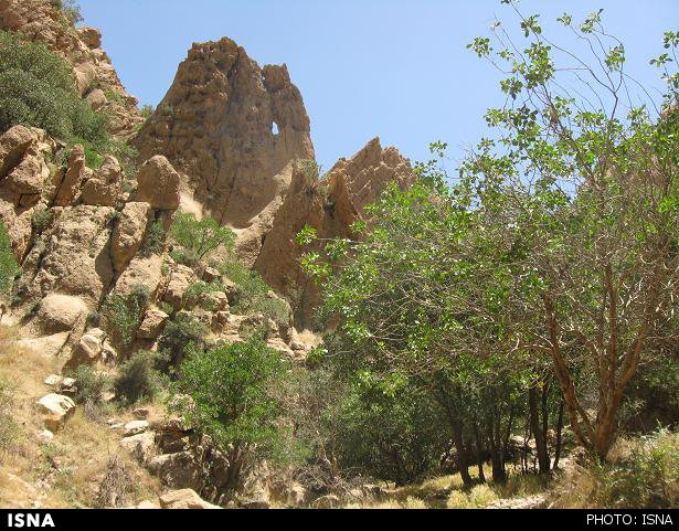 همه‌چیز درباره‌ «سرخه‌دیزه» + عکس ‌