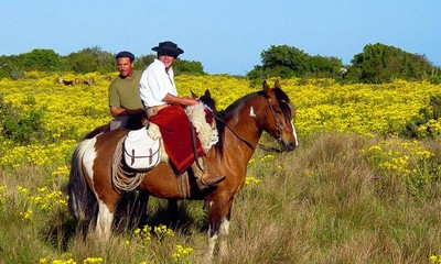 گوشو تریل (Gaucho Trail)