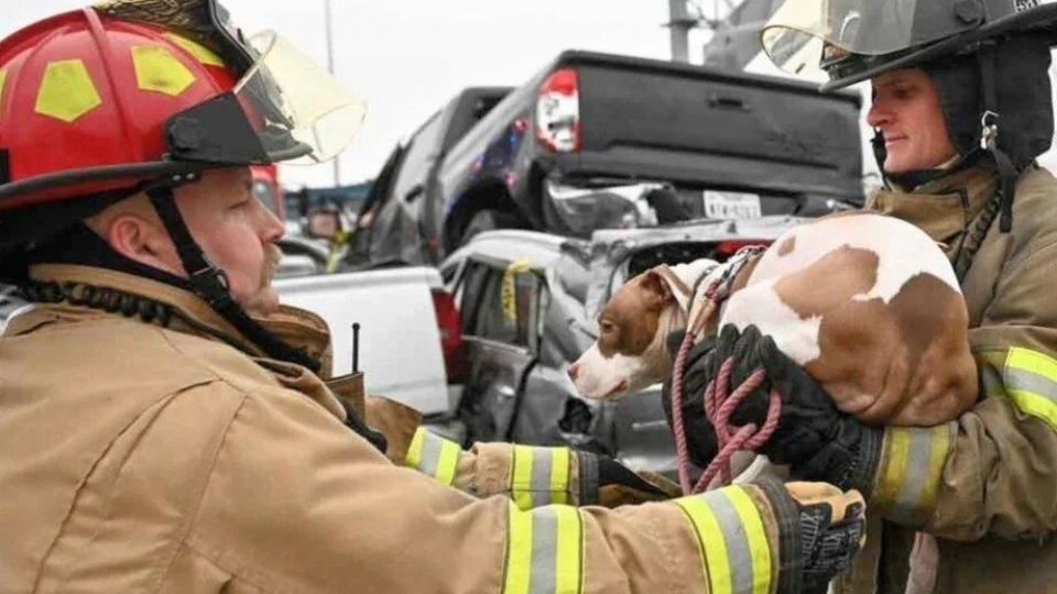 تصادف زنجیره‌ای و مرگبار بیش از ۱۳۰ خودرو در تگزاس