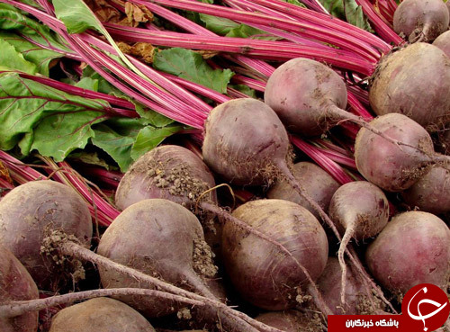 12 خوردنی مفید برای پاکسازی سریع بدن