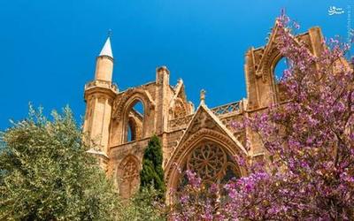  مسجد مصطفی پاشا در قبرس 