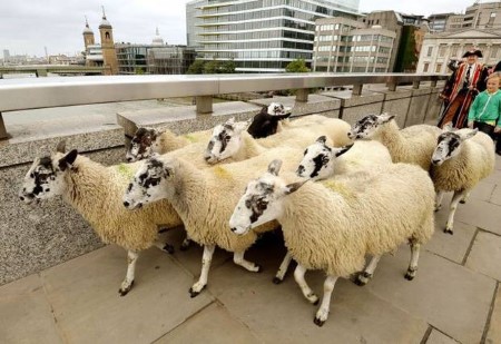 مضحک‌ترین قوانین کتاب قانون بریتانیا+تصاویر