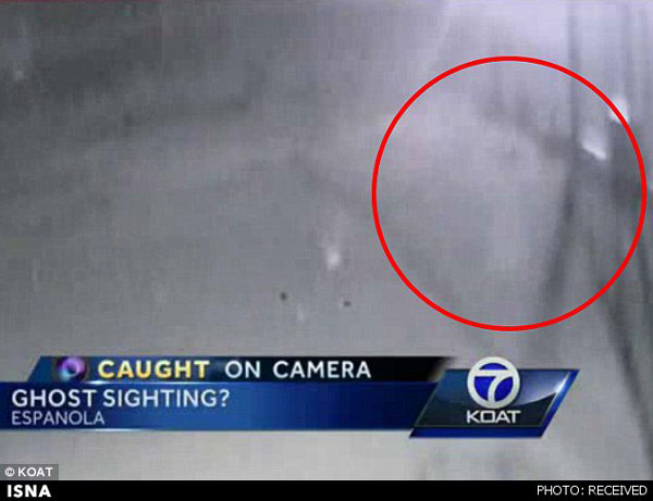 روح سرگردان در اداره پلیس!+عکس