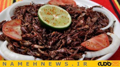 سوسک سوخاری