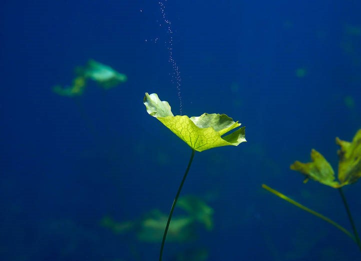 پایگاه تحلیلی خبری نامه نیوز