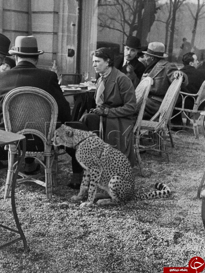 عکس: حيوان خانگی عجيب يک زن در پارک