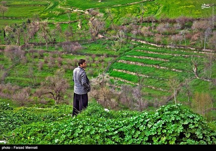 عکس/ طبیعت و میراث بکر شهرستان ریجاب 