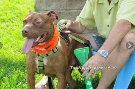 نجات از مرگ حتمی