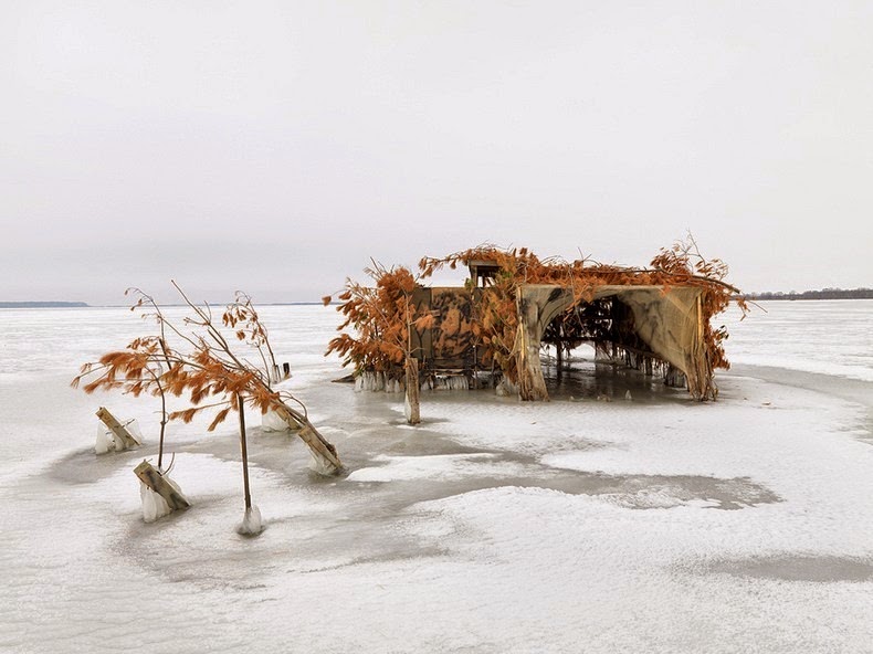 استتار شکارچیان اردک/تصاویر