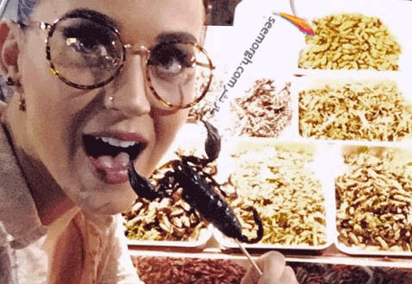 عقرب خوری بازیگر زن در سفر به تایلند! /عکس