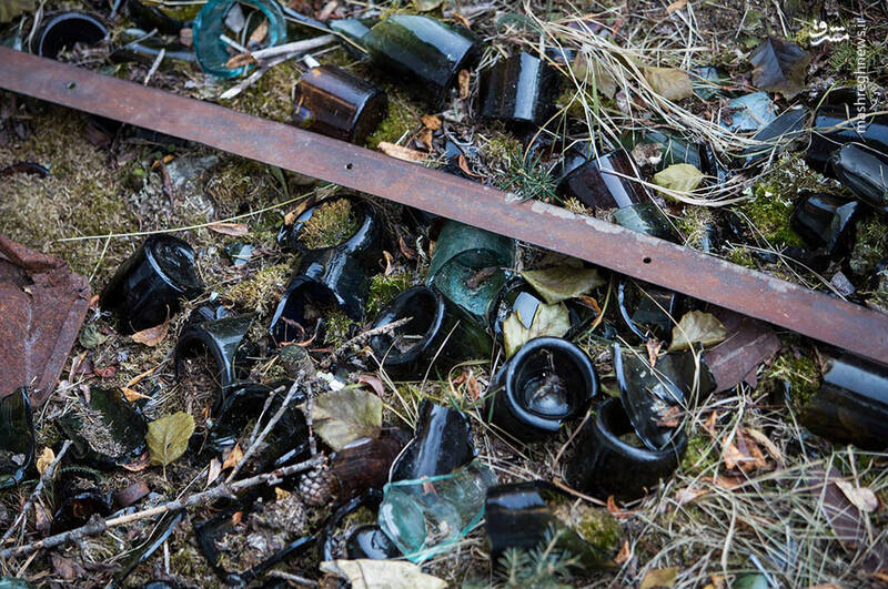 عرق جبین یا زنان کانادایی؛ ثروت دونالد ترامپ از کجا آمده است؟ +عکس و فیلم