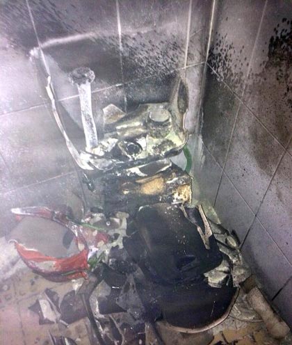 سوسکی که موجب انفجار شد (+عکس)