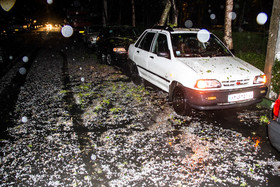 پایگاه تحلیلی خبری نامه نیوز