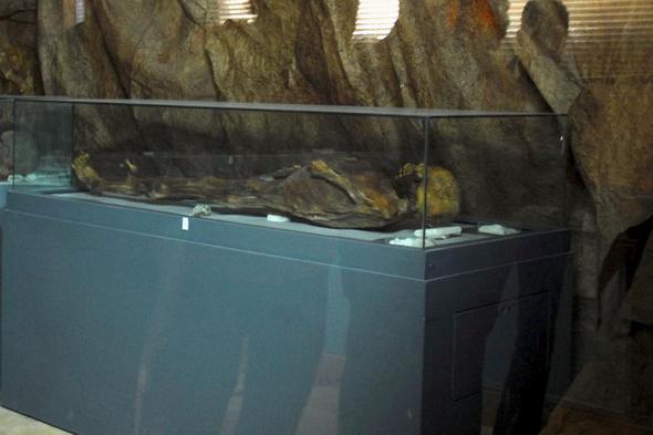 تصاویر : شهر تاریخی پالمیرا