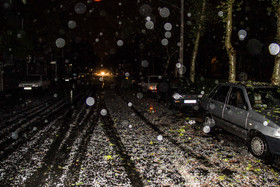 پایگاه تحلیلی خبری نامه نیوز