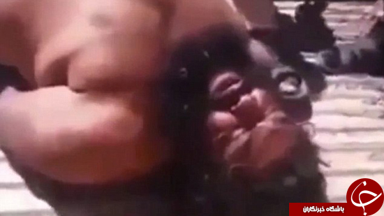 دستگیری بولدزر داعش +تصاویر