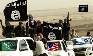 لانه‌های زنبور