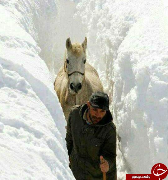 چهار فصل ایران را باید دید +تصاویر