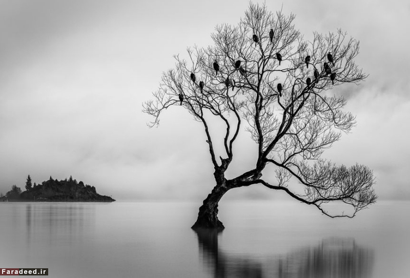 (تصاویر) مسابقه عکاسی نشنال جئوگرافیک