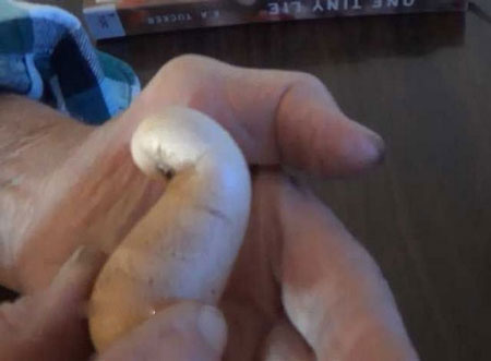 تخم مرغ عجیب و غریب +تصاویر