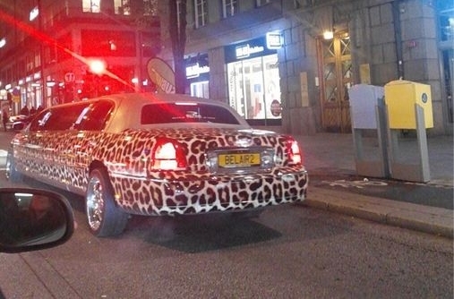 عکس/ عکاسی بهاره رهنما در استکهلم