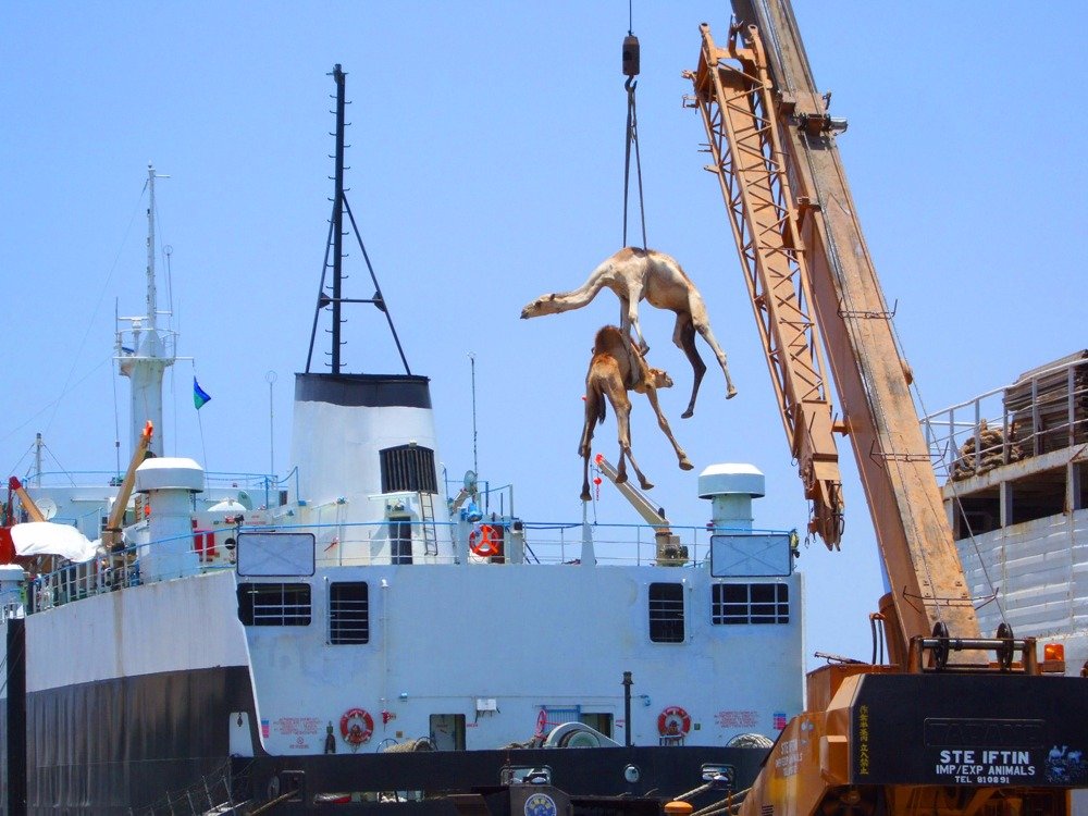 گزارش بیزینس اینسایدر: 16 حقیقت شگفت‌آور درباره عربستان سعودی+ تصاویر