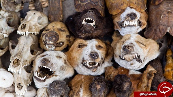 مکان هایی در آن ارواح قدم می زنند +تصاویر