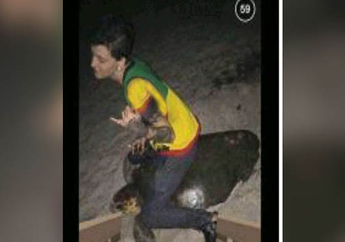 لاک پشت سوار در چنگ قانون! + تصاویر