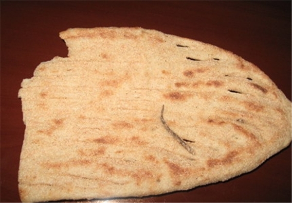 پیدا شدن دم مارمولک در نان/تصاویر