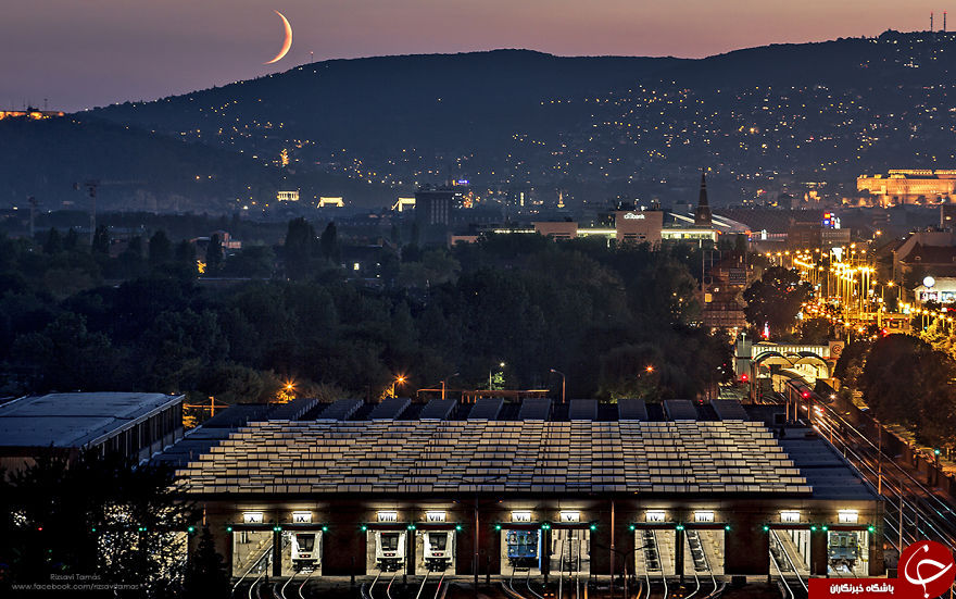 عکاسی که برای ثبت این تصاویر جانش را به خطر انداخت + تصاویر