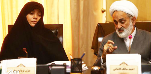 توضیحات همسر سابق «الهام چرخنده» درباره جلسه کمیسیون فرهنگی