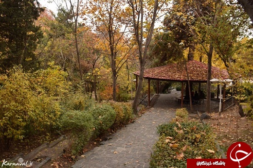 پاتوق رمانتیک بالای شهر تهران +تصاویر