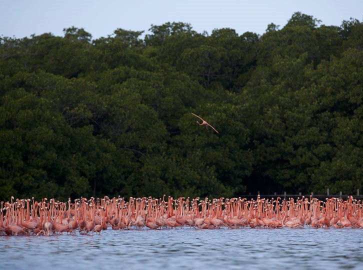 پایگاه تحلیلی خبری نامه نیوز