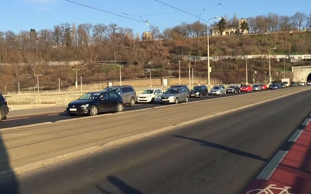 این حیوان زیبا یک شهر را بهم ریخت+تصاویر