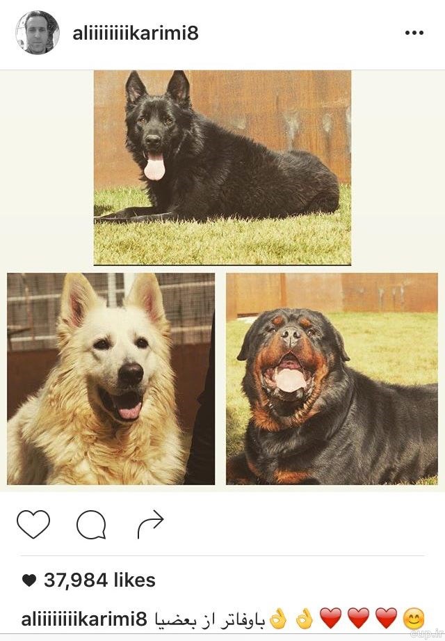 پست اینستاگرامی عجیب جادوگر+عکس